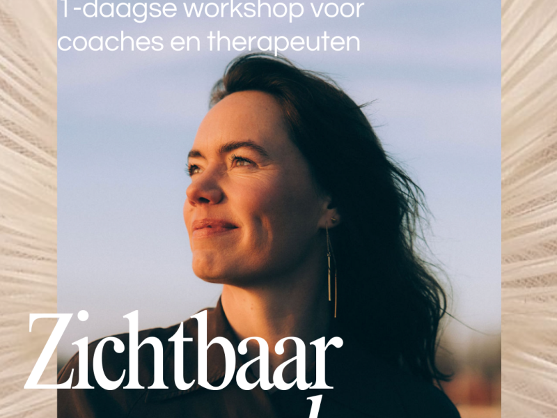 Zichtbaar. Zonder concessies. - Ondernemen, Persoonlijk Leiderschap, Belichaming