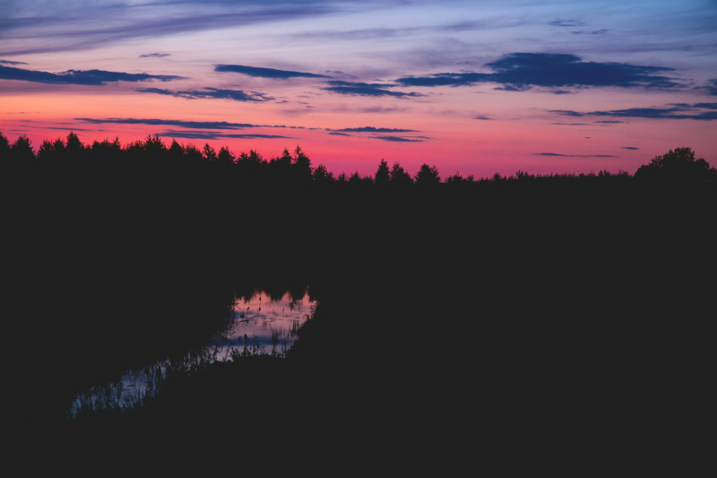 De Wilde Boekenclub: Het Betoverende leven - Natuur