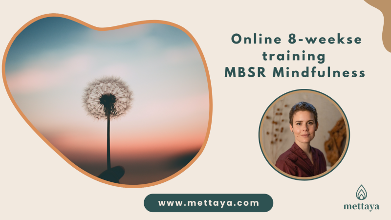 MBSR |  Online 8-weekse | Mindfulness Training