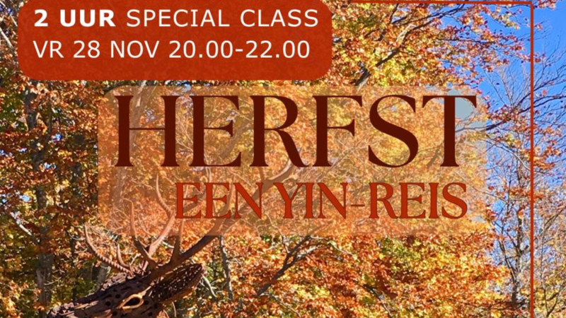 YOGA SPECIAL | HERFST | 2 uur YIN Yoga Verdiepingsreis