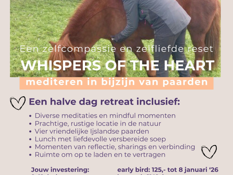 Whispers of the Heart - mediteren in bijzijn van paarden