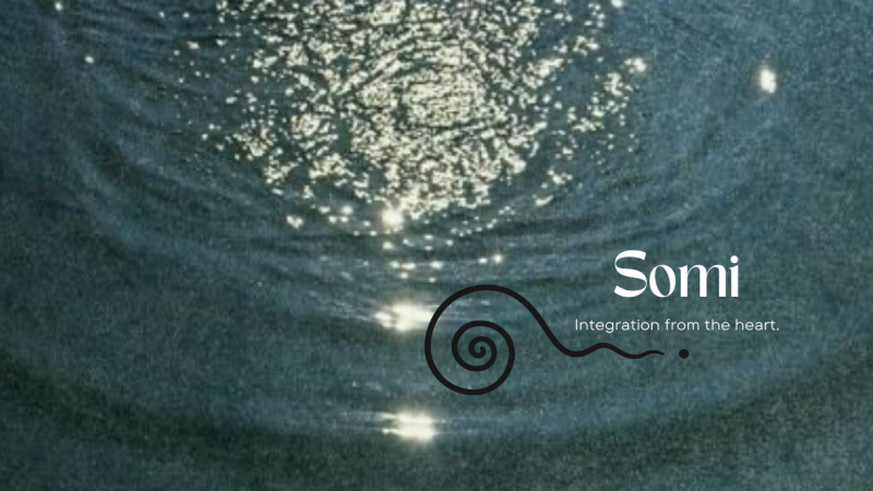 Somi - Somatic integration ♡⋆˚꩜｡⋆ - Yoga, Breathwork, Meditation