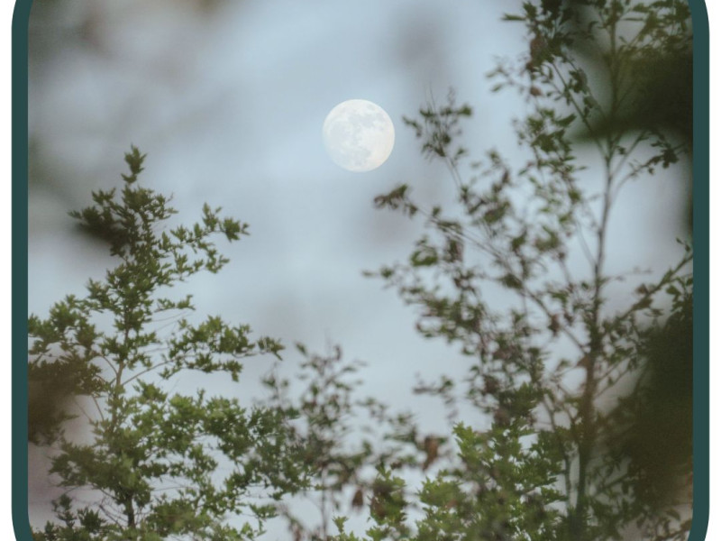 Volle Maan Ademcirkel - In het Licht van Adem