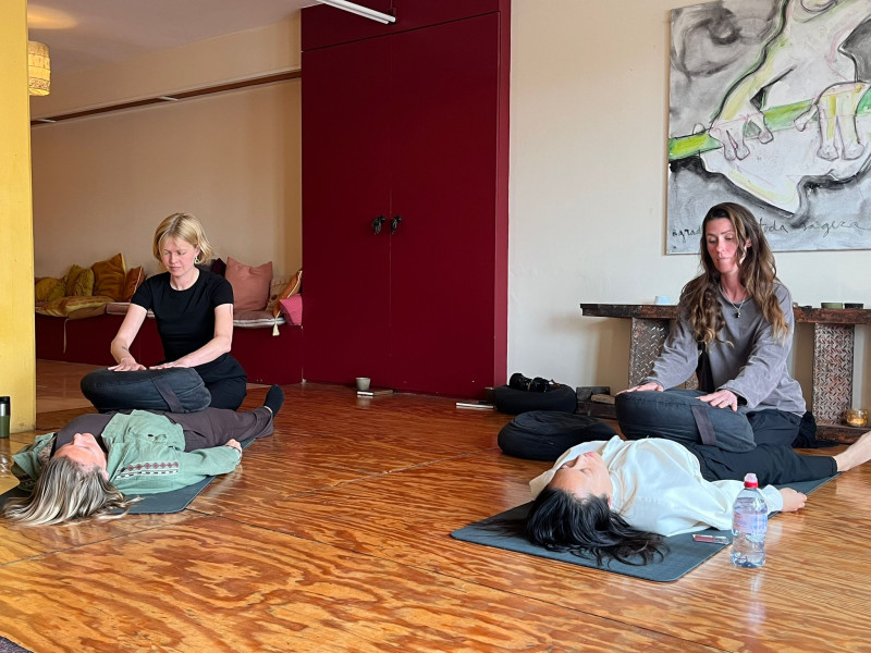 🙌 Bodyworkers 2 Day intensive: Dearmoring, Drukpunten & Trauma