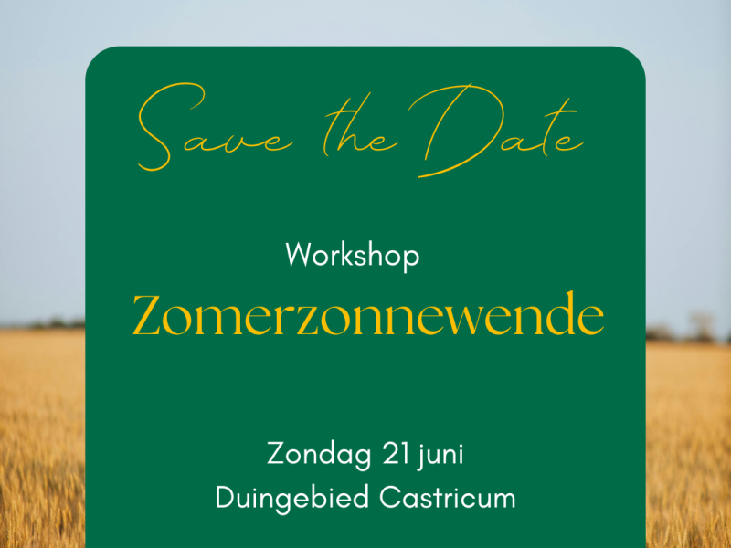 Natuurcoachingsworkshop 'Zomerzonnewende' - Natuur, Ontspanning, Wandelen