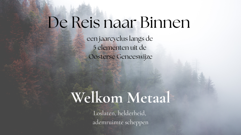 De reis naar binnen - Via Do-In en de 5 Elementen. Welkom Metaal!