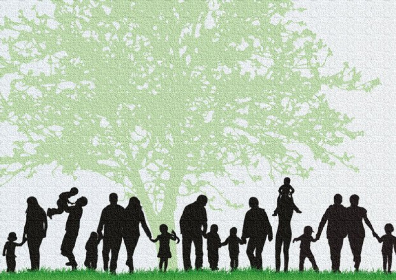 SYSTEMISCHE (Familie) OPSTELLINGEN Leusden 25 Februari 2026