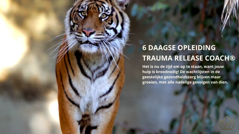 6-daagse opleiding Trauma Release Coach - Lichaamswerk, Opleiding, Trauma Release