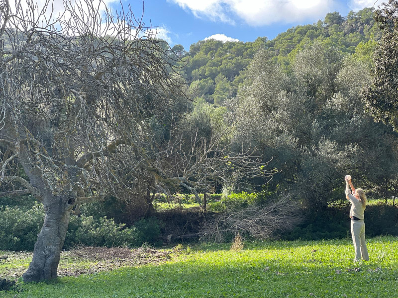 10 dagen Mallorca | Reis & Retraite