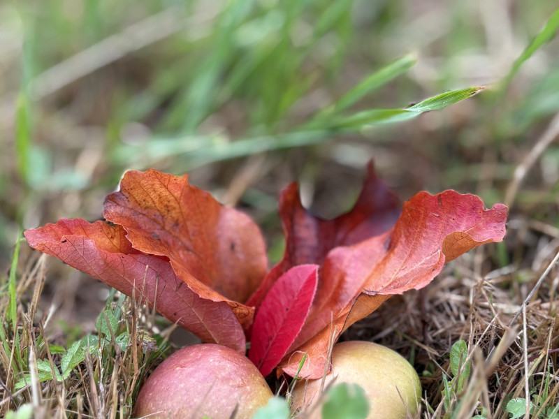 Eendaagse Retraite Herfst Equinox
