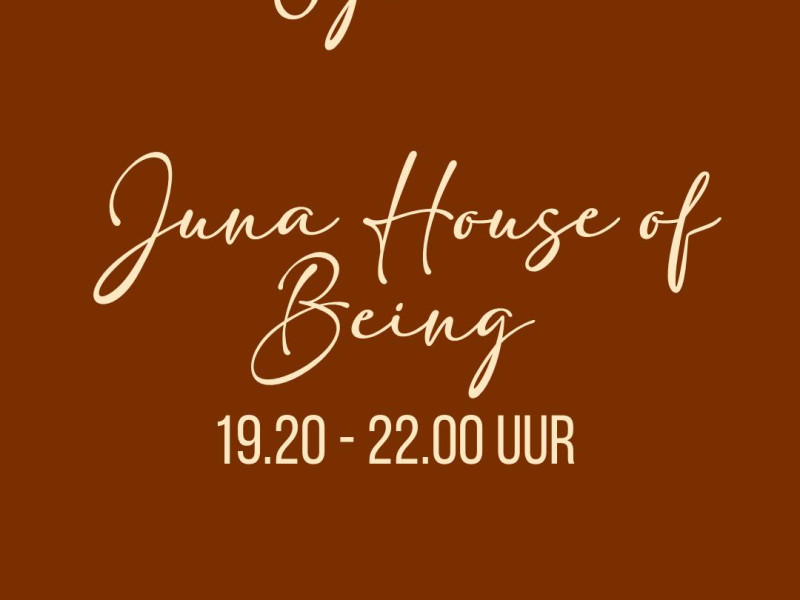 Kundalini groeps activatie  - Trancereis, Kundalini Activatie, Innerlijke Reis