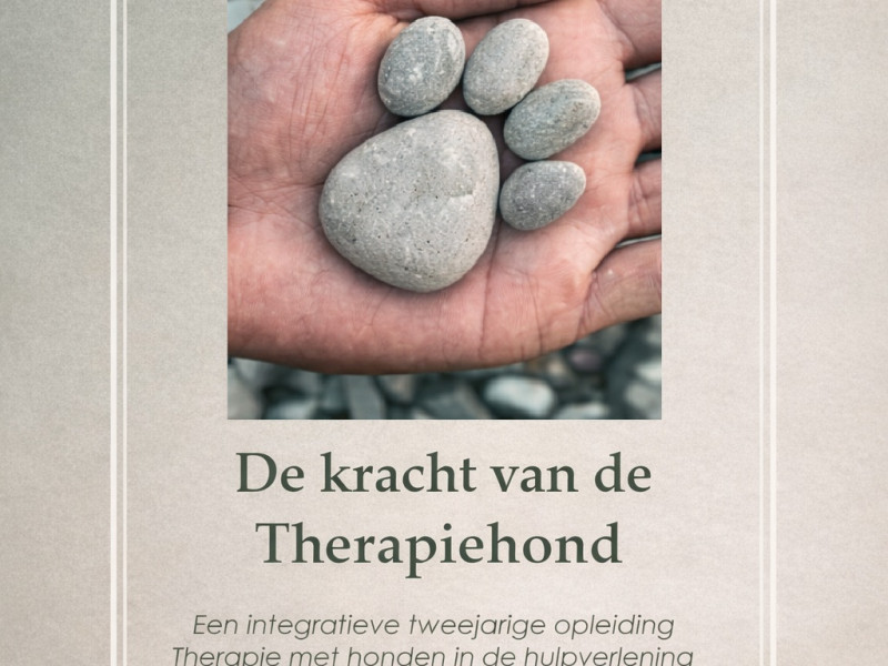 De Kracht van de Therapiehond
