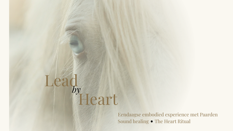 Lead By Heart