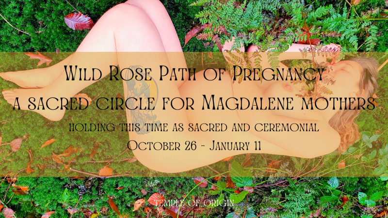 Wild Rose Pregnancy Circle - a 3 month path for Mothers to be