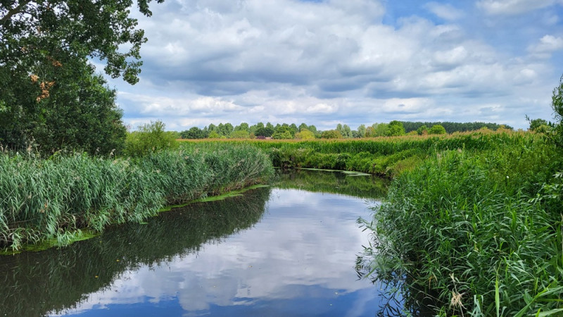 Shinrin-Yoku aan de Dommel