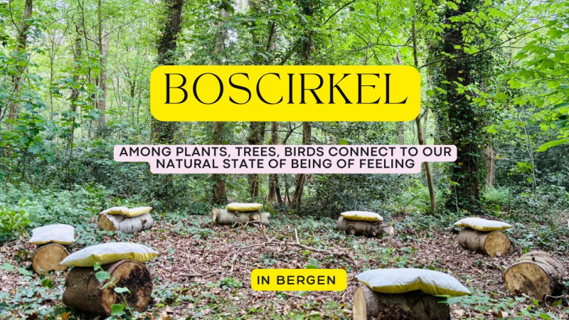 Boscirkel - verdieping, verbinding, verruiming