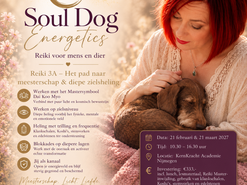Soul Dog Energetics l Reiki 3a voor mens en dier