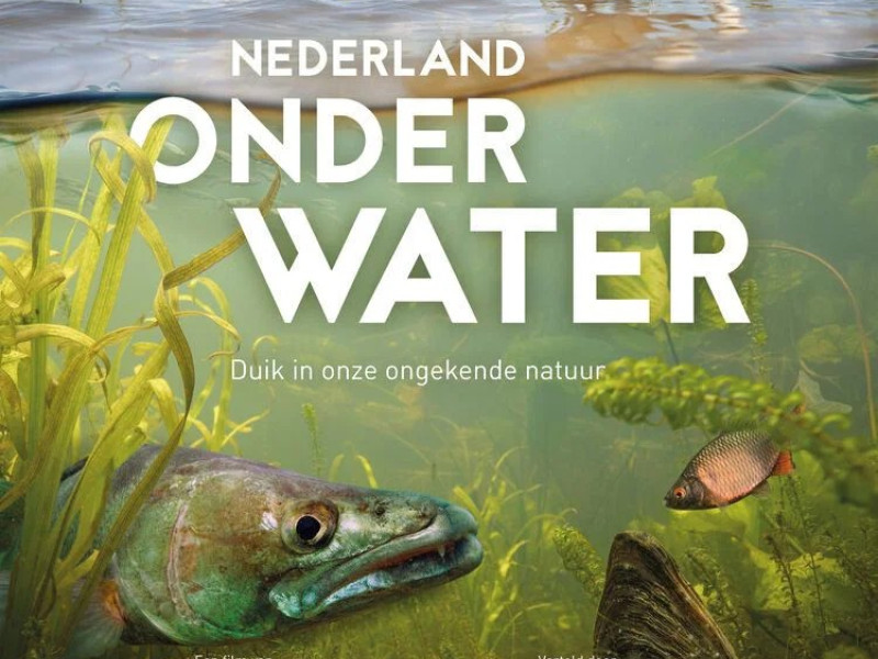 Filmavond - Nederland Onder Water, duik in onze ongekende natuur