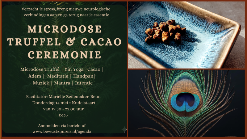 Microdose Truffel Ceremonie