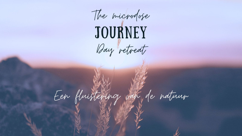 The Microdose Journey
