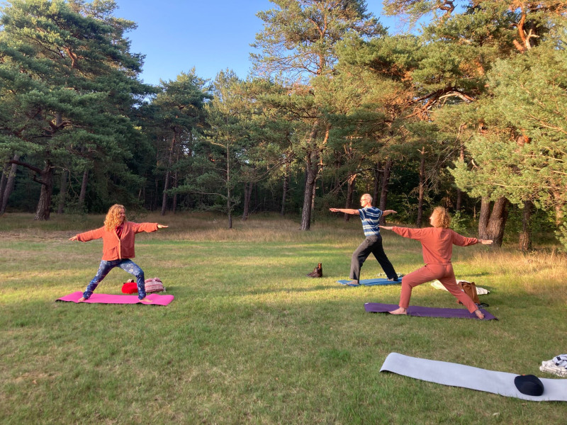 Fijne hatha yoga in het bos!