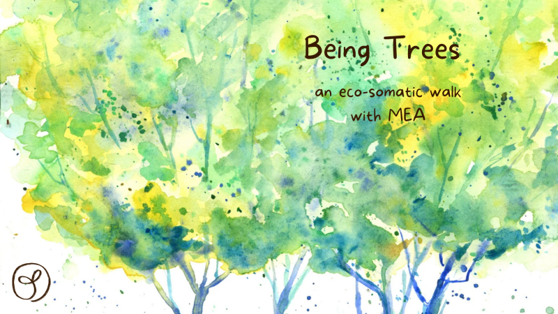 Being Trees - An Eco-Somatic Walk
