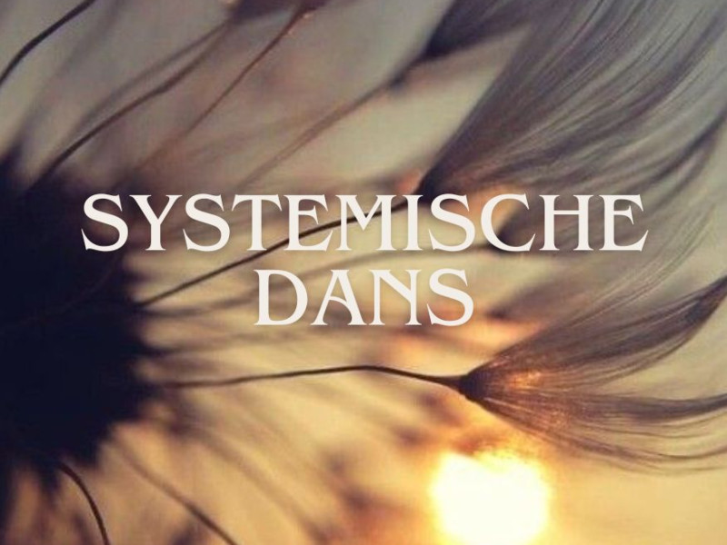 Systemische Dans