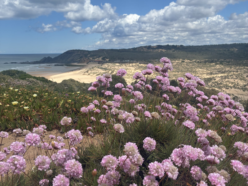 Pelgrimstocht Rota Vicentina