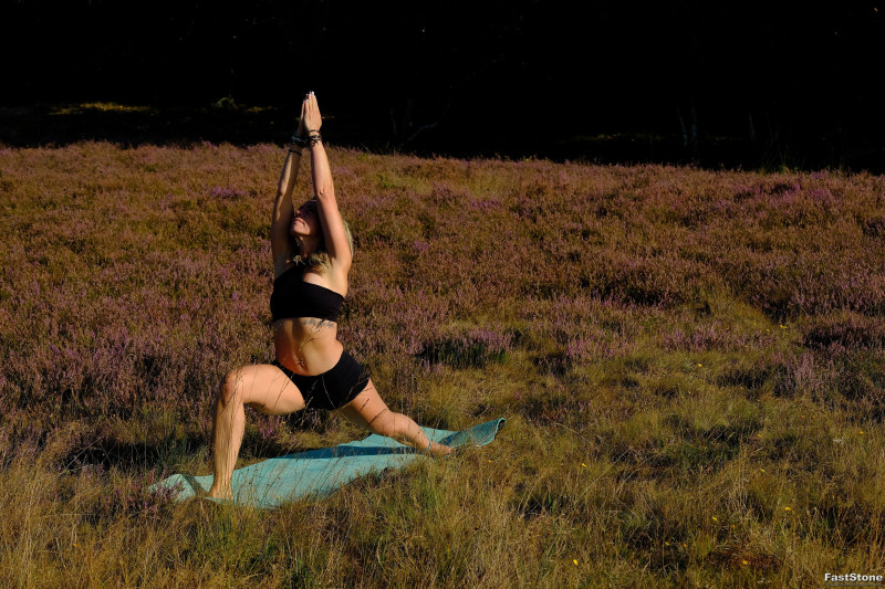 Opleiding Docent Power Yoga