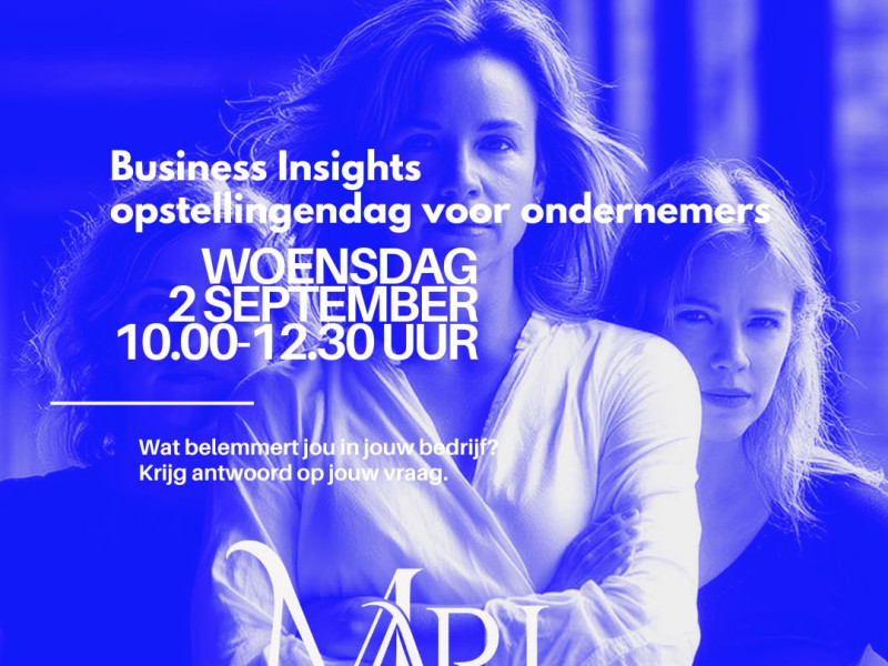 Business Insight - opstellingendag  voor ondernemers