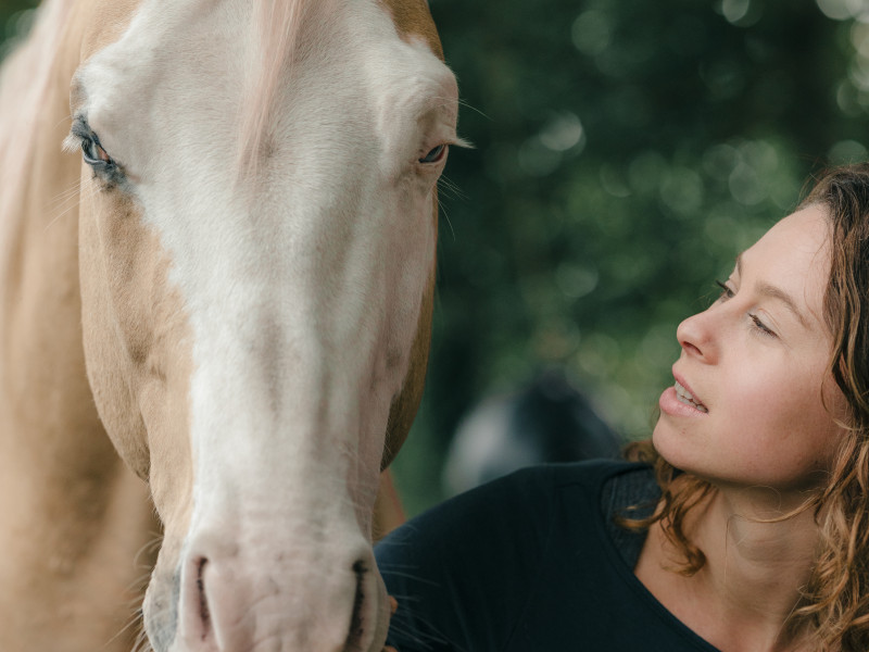 Paarden workshop!