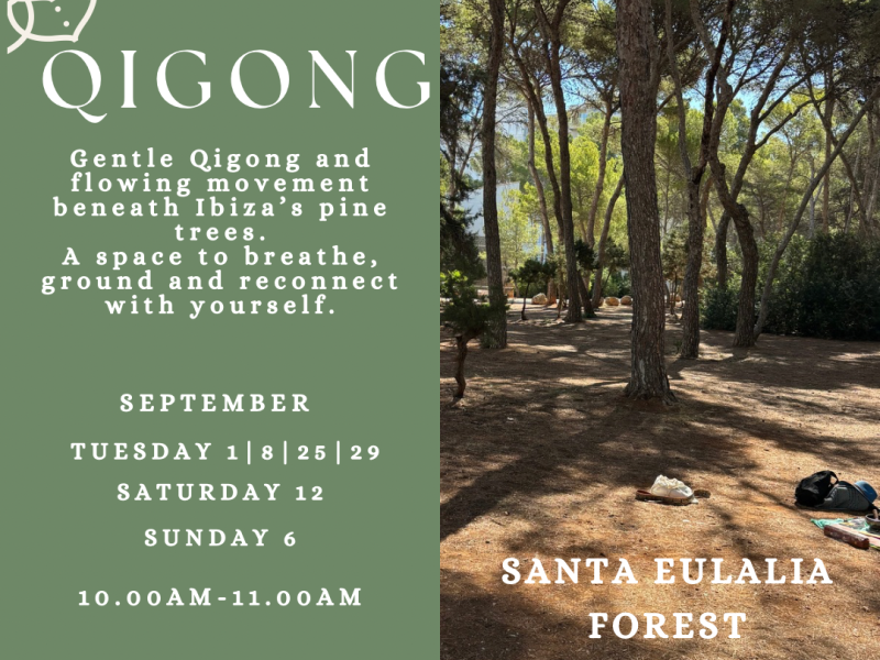 Qigong In The Forest