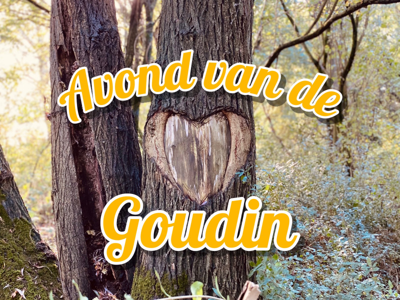 Avond van de Goudin - Antwoorden van binnenuit