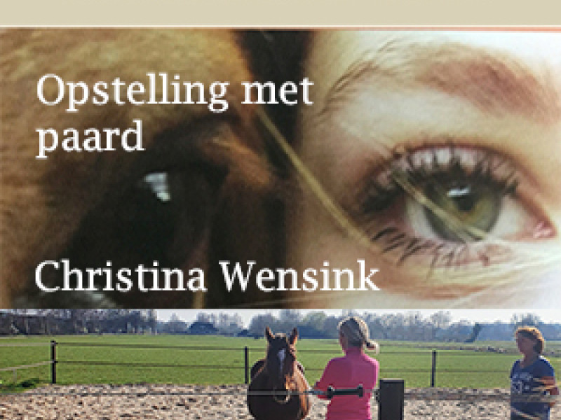 Opstelling met paard - Christina Wensink - Chevaux, Système familial, Guérison