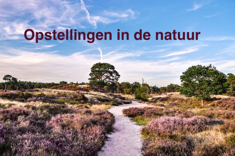 Opstellingen in de natuur