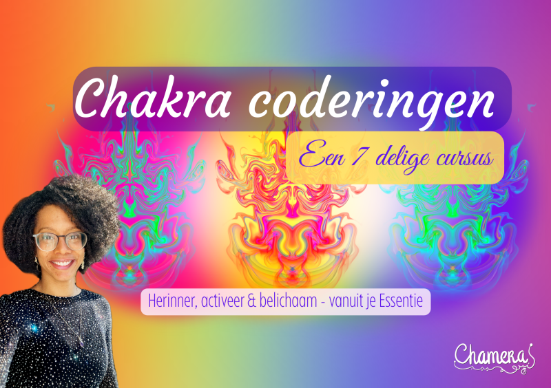 Chakra coderingen - zevendeling cursus
