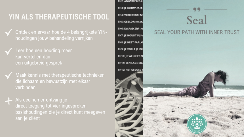 YIN als therapeutische tool