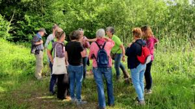 Kruidenwandeling - Nature, Herbs, Hiking