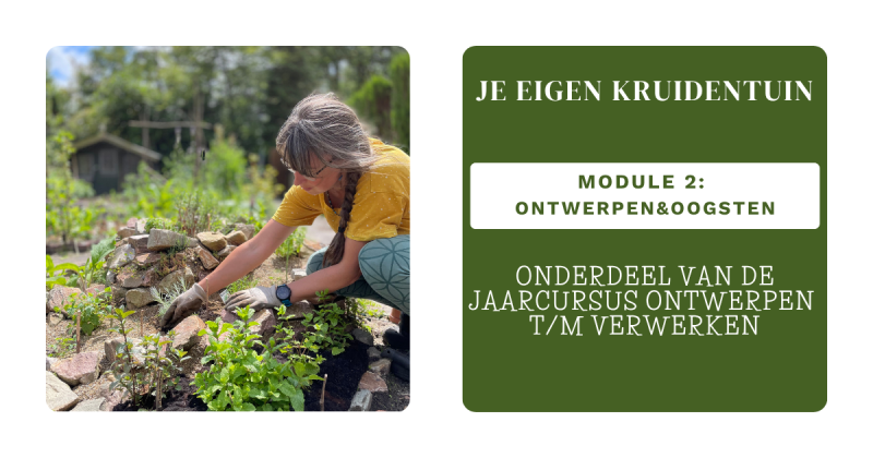 Cursus: je eigen kruidentuin Module 2 - Natuur, Kruiden, Zelfvoorzienend Leven