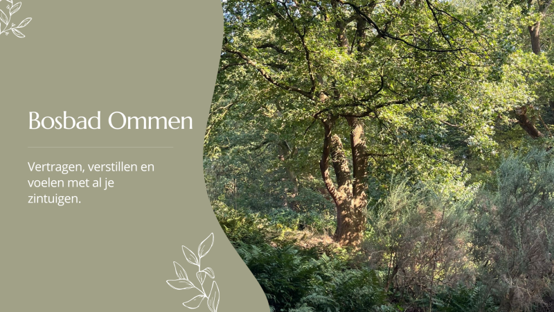 Bosbad Ommen: natuurverbinding
