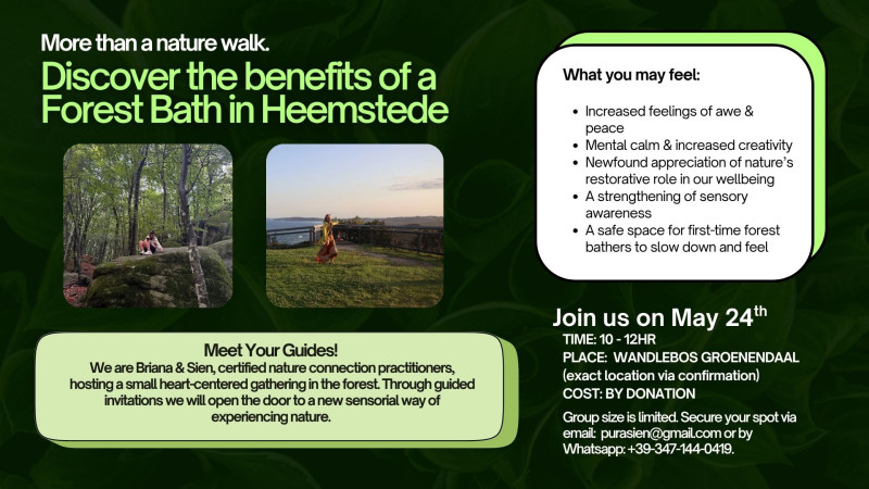 Discover the benefits of Forest Bath in Heemstede - Naturaleza, Conexión, Ceremonia del té