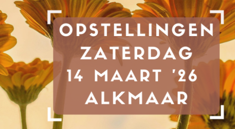 Workshop familie- & systeemopstellingen – Alkmaar