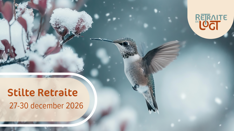 Stilte Retraite - 4 daagse tussen kerst en nieuw jaar