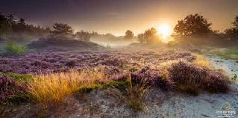 Mannenwandeling - Eenzaamheid en verbinding