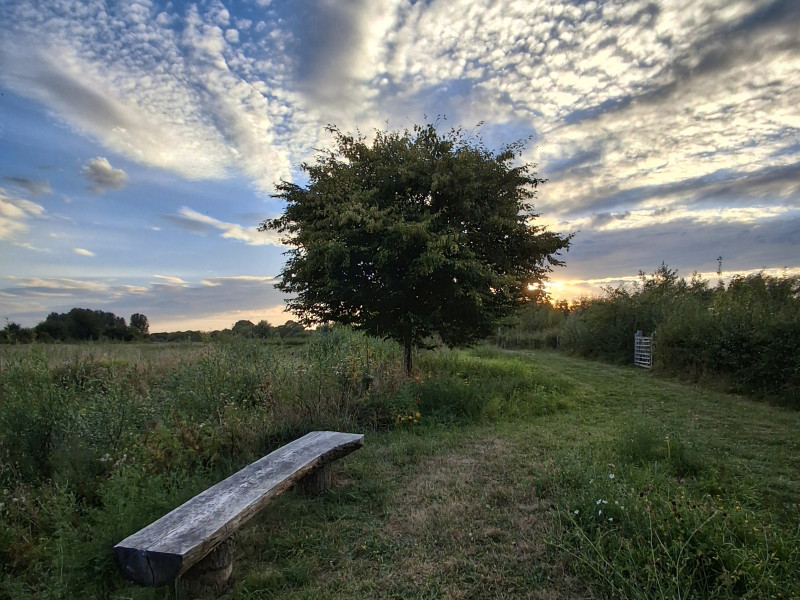 Transformational Connection in Nature | Day Retreat