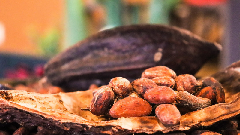 Cacao ceremonie + diepe heling