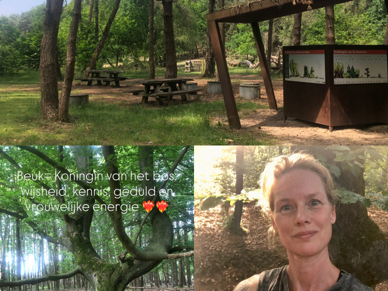 1 Dag retraite voor vrouwen  - Ateliers pour femmes, Nature, Connexion