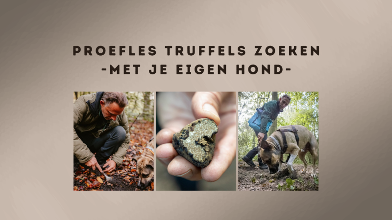 Proefles Truffels zoeken met je eigen hond - Natuur, Zelfvoorzienend Leven, Wandelen
