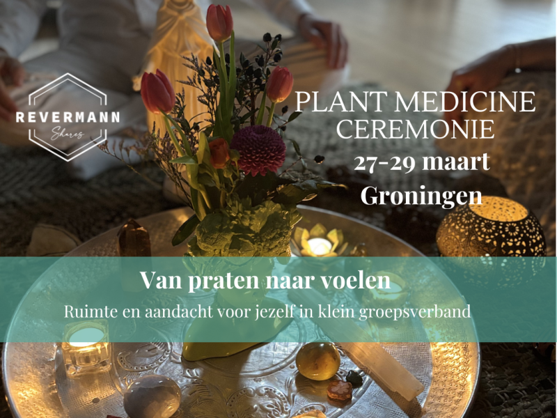 Plant Spirit Ceremony