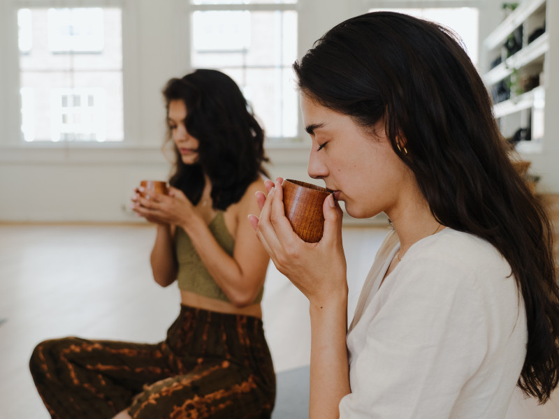 Cacao & Microdose Facilitator Training - Start April 10th